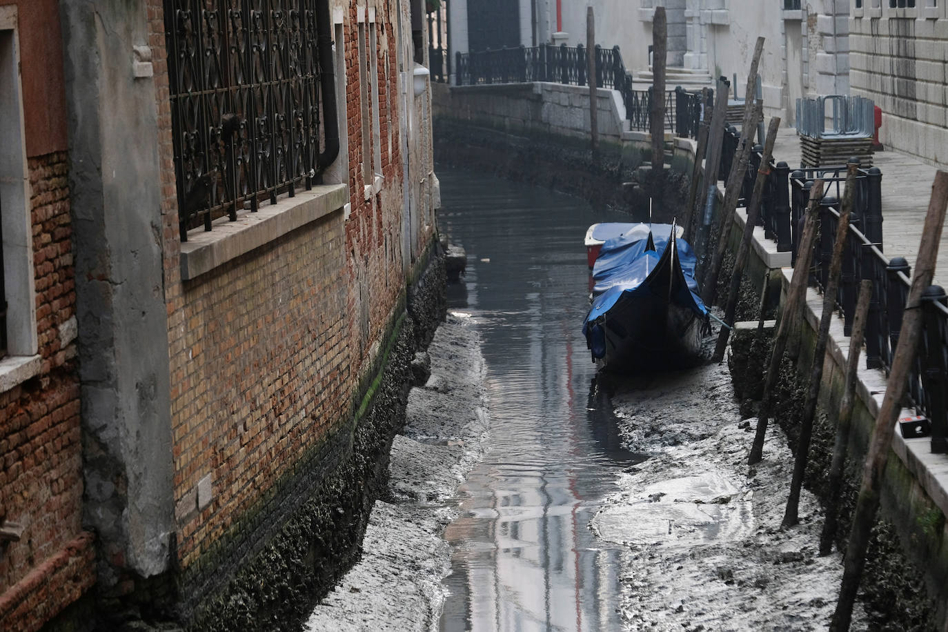 Fotos: El &#039;acqua bassa&#039; vacía los canales en Venecia
