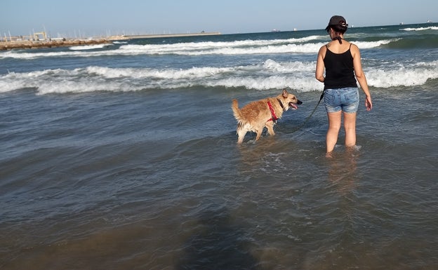 Vanessa Vega pasea a Karma por la orilla de una playa de Valencia. 