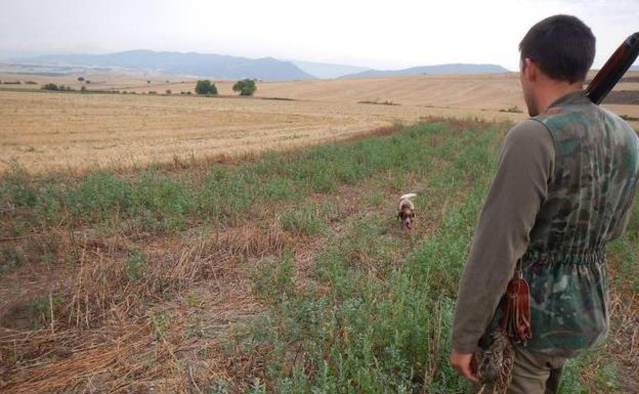 Caza en la Comunitat | Los cazadores quieren cobrar por cazar para reducir la sobrepoblación de jabalíes