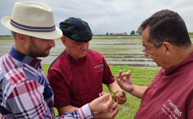 Juan Carlos Valero CEO de Tartana junto a Zafra y Galbis en el arrozal. 