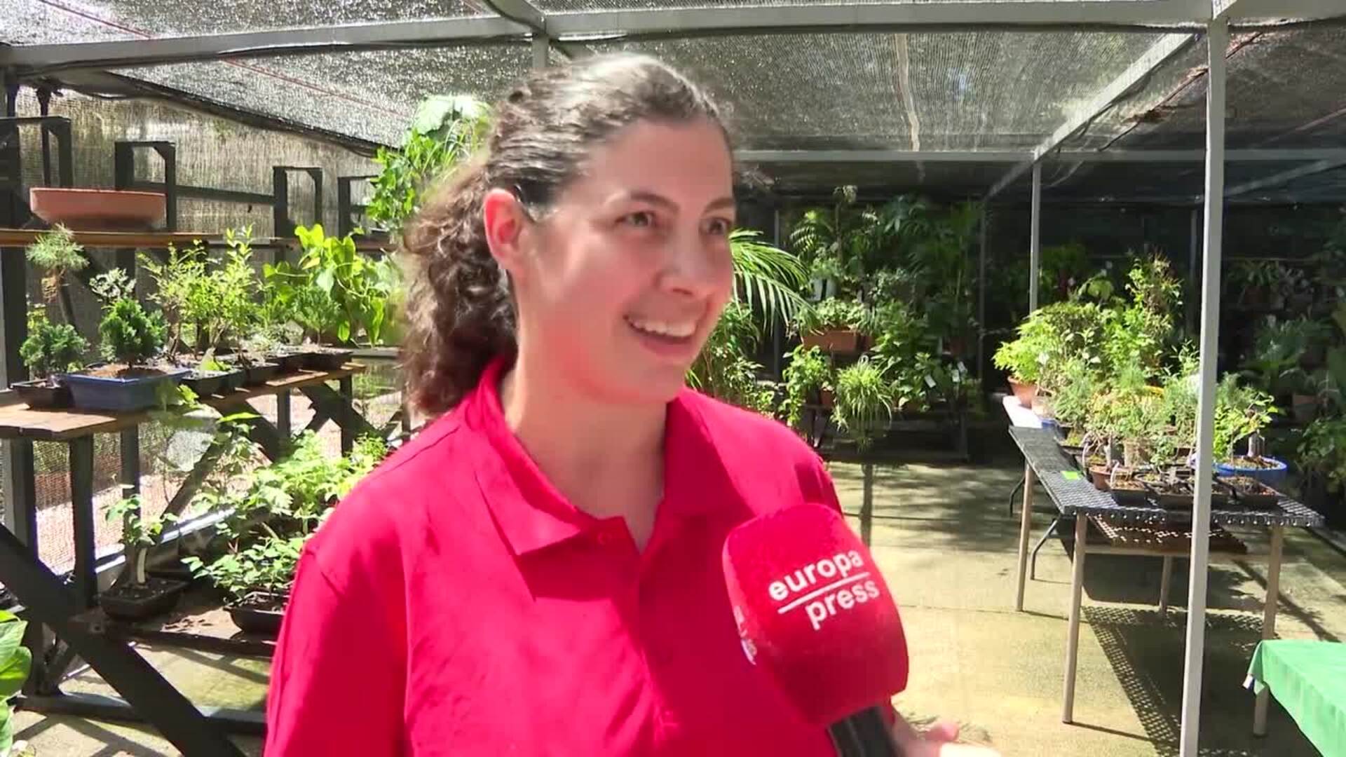 Un hospital y guardería de plantas, la solución para las vacaciones de verano