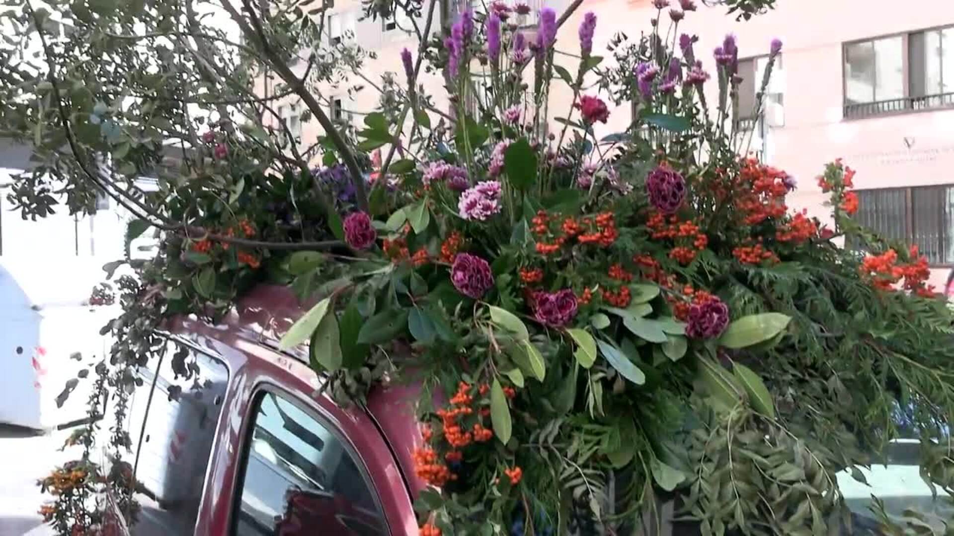 Un coche 'florece' en el Barrio del Oeste de Salamanca