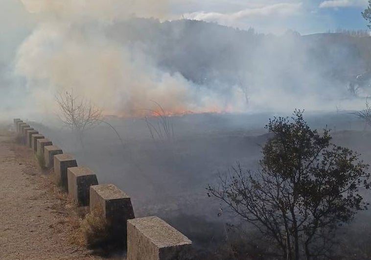 Las llamas del incendio en la Vall d'Alcalà.