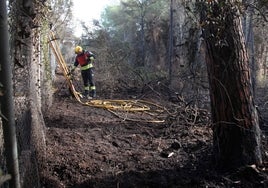 Un bombero repasa la zona donde comenzó el incendio.