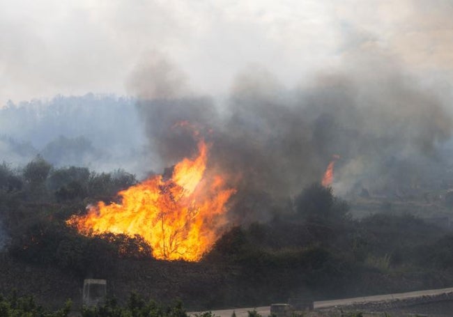 Incendio de Montitxelvo declarado el 2 de noviembre de 2023.