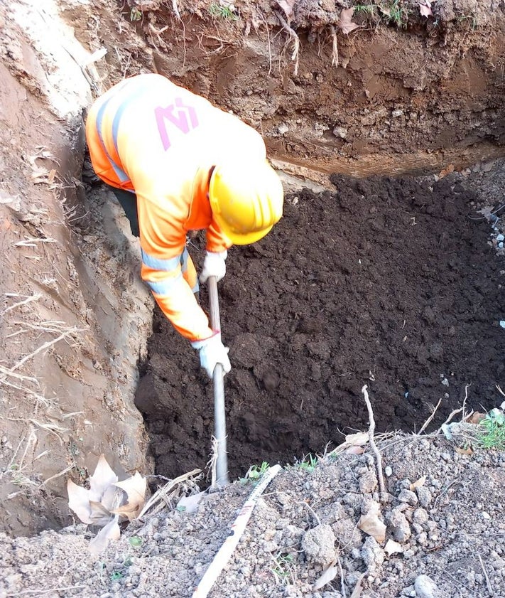 Imagen secundaria 2 - Operativo del traslado del abeto y preparación del terreno donde se trasplantará el árbol. 