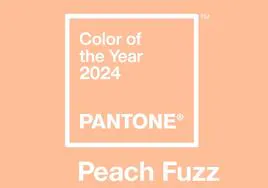 El color que Pantone ha elegido en 2024 se llama 'Peach Fuzz'.