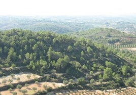 Vistas desde la ruta azul del Parque Natural del Túria.