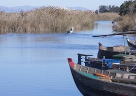 Embarcaciones en El Palmar.