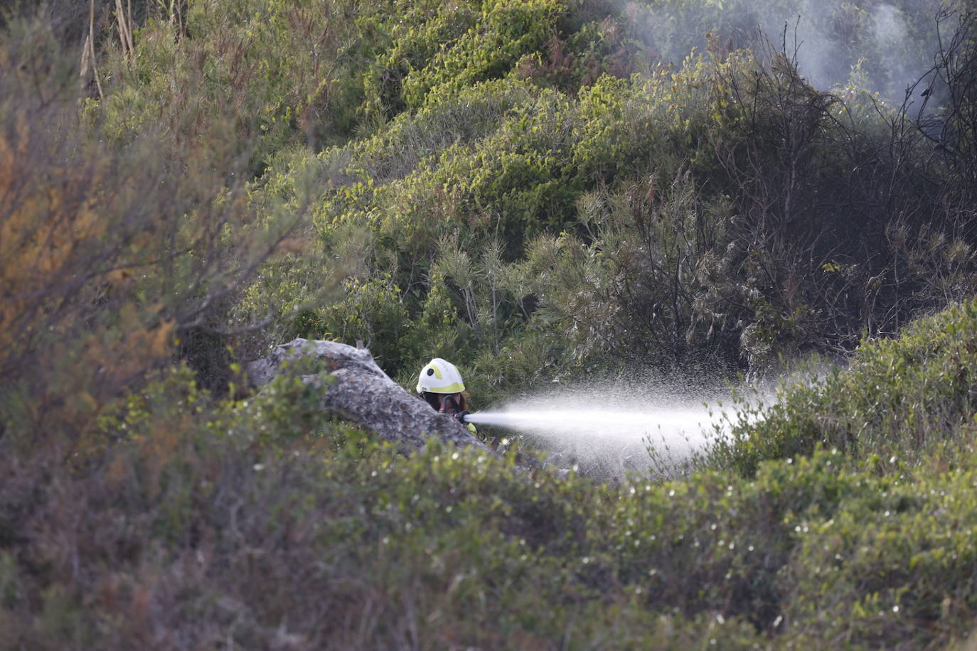 Incendio entre el Saler y Pinedo