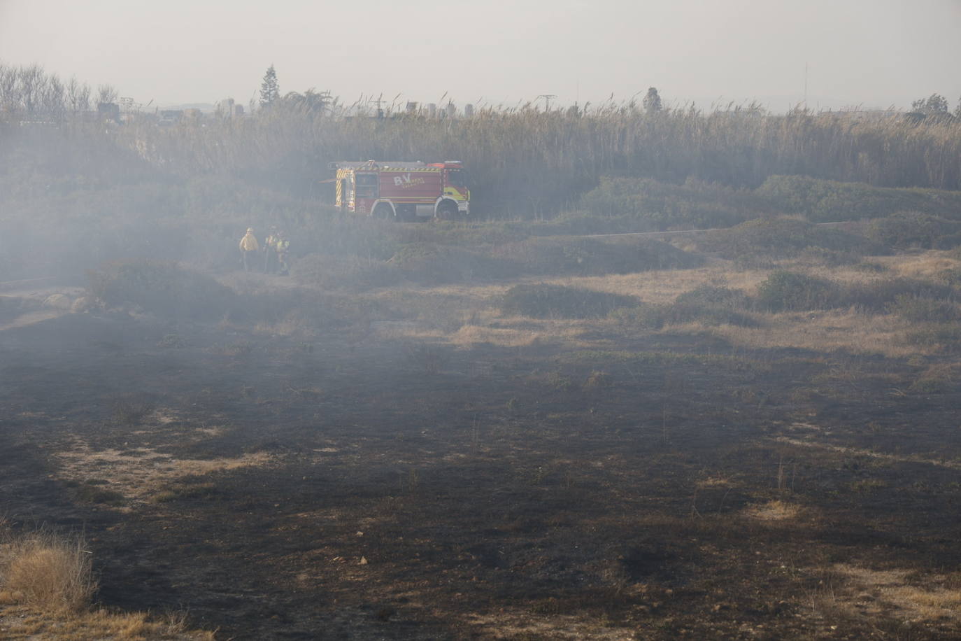 Incendio entre el Saler y Pinedo