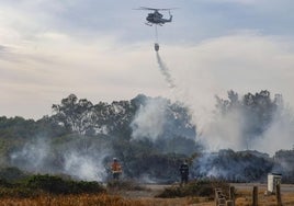 Labores de extinción del incendio forestal declarado el pasado domingo.