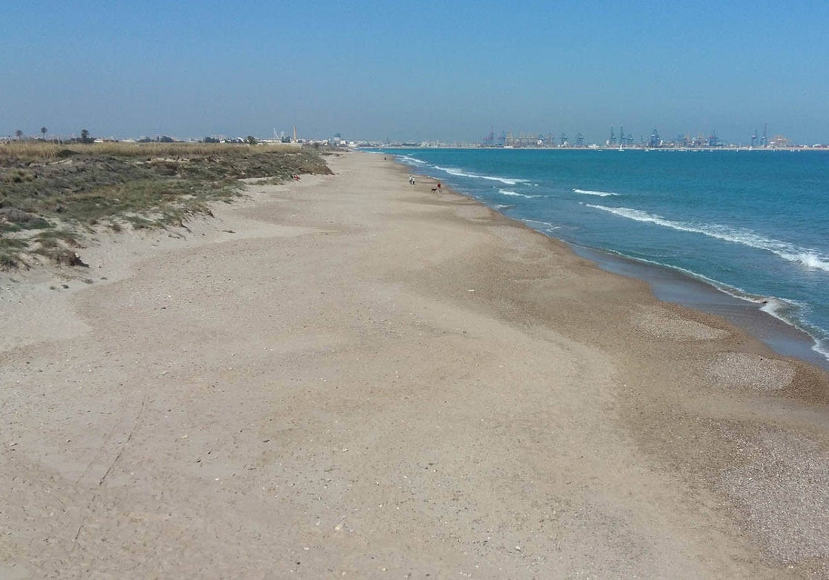 Vista de la playa del Saler en 2018.