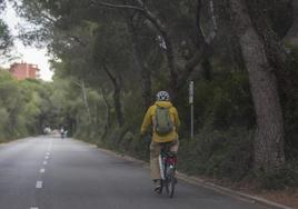 Un vecino recorre uno de los viales asfaltados de la Devesa, este martes.