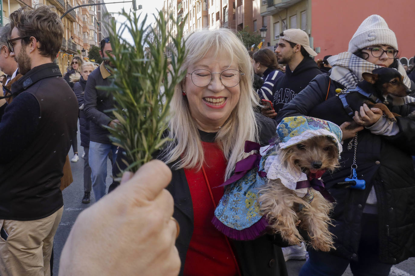 Bendición de animales en la calle Sagunto del año pasado.