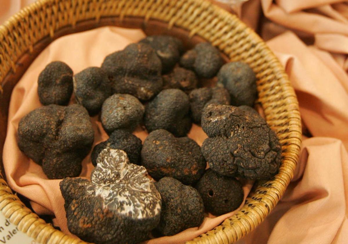 Trufas valencianas en una imagen de archivo.