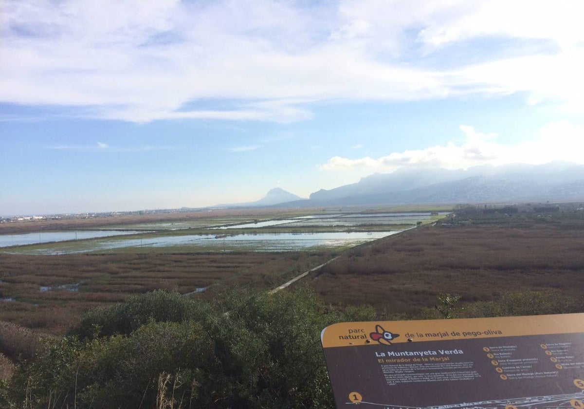 Panorámica del parque natural de la Marjal Pego-Oliva.