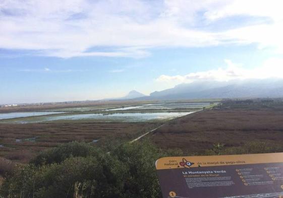 Panorámica del parque natural de la Marjal Pego-Oliva.