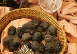 Trufas valencianas en una imagen de archivo.