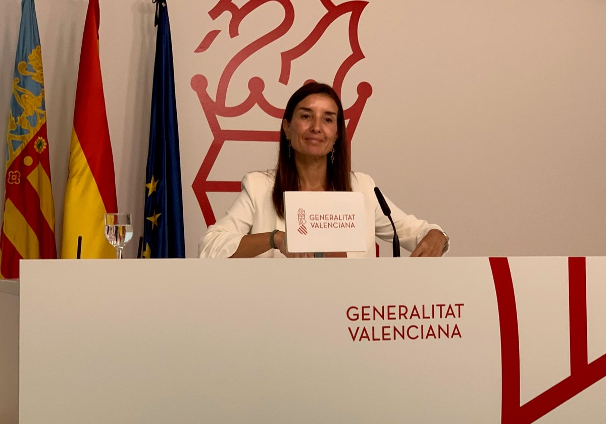 Merino, durante una comparecencia tras un pleno del Consell.