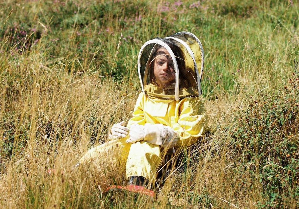 ¿Dónde se puede ver '20.000 especies de abejas'?