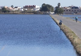 Vista de campos de arroz inundados en El Palmar.