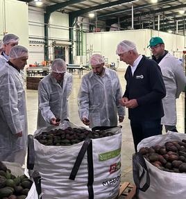 Visita a la cooperativa de Algemesí.