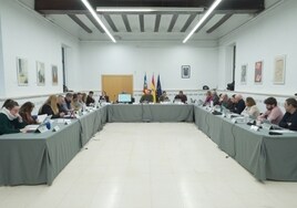 Pleno municipal.