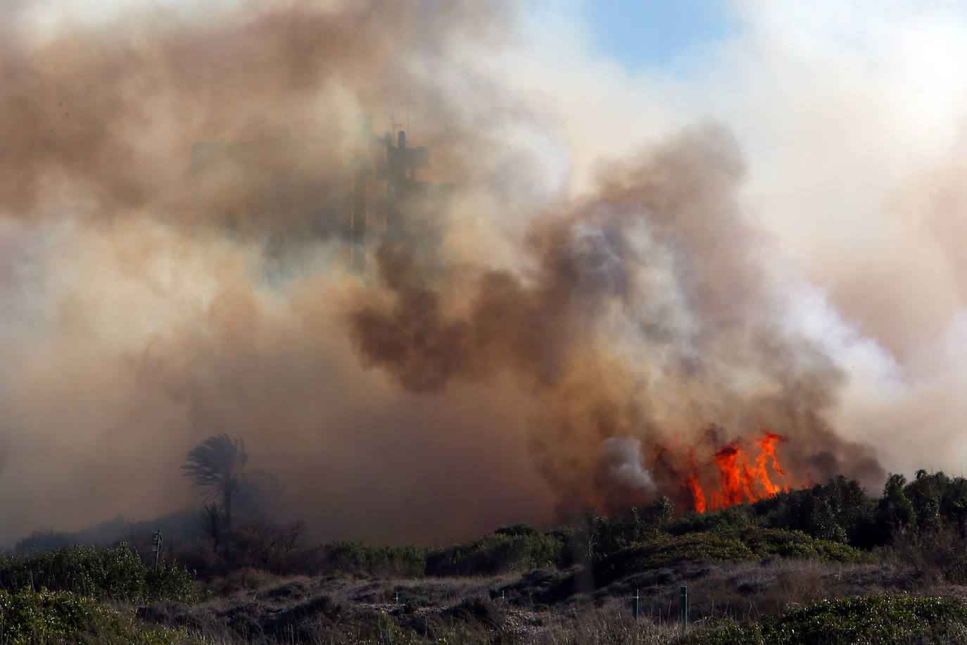 Fotos del incendio de El Saler que ha obligado a desalojar seis edificios