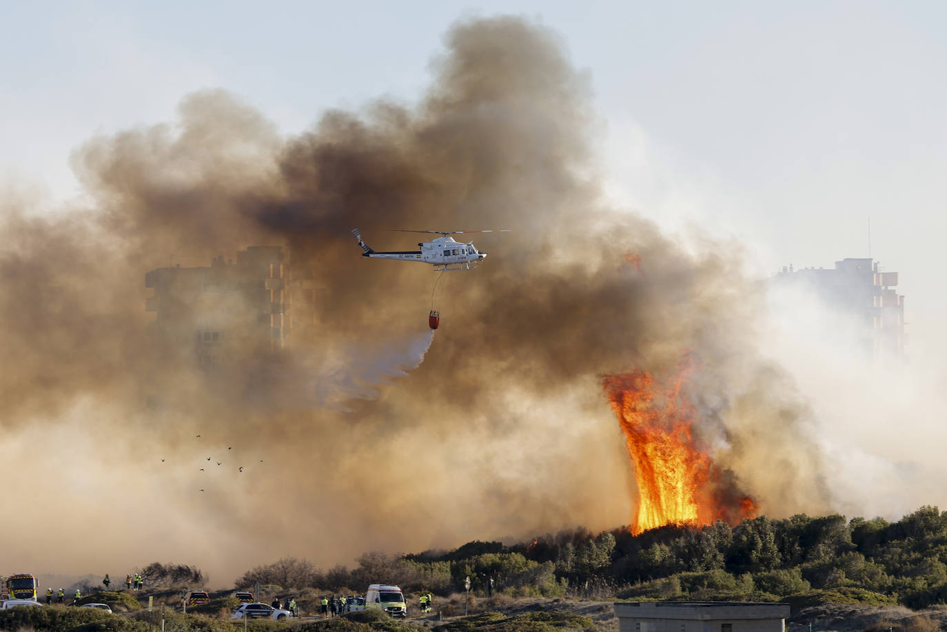 Fotos del incendio de El Saler que ha obligado a desalojar seis edificios