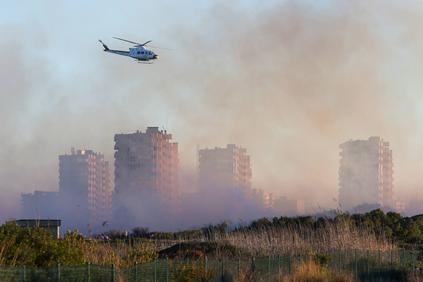 Fotos del incendio de El Saler que ha obligado a desalojar seis edificios