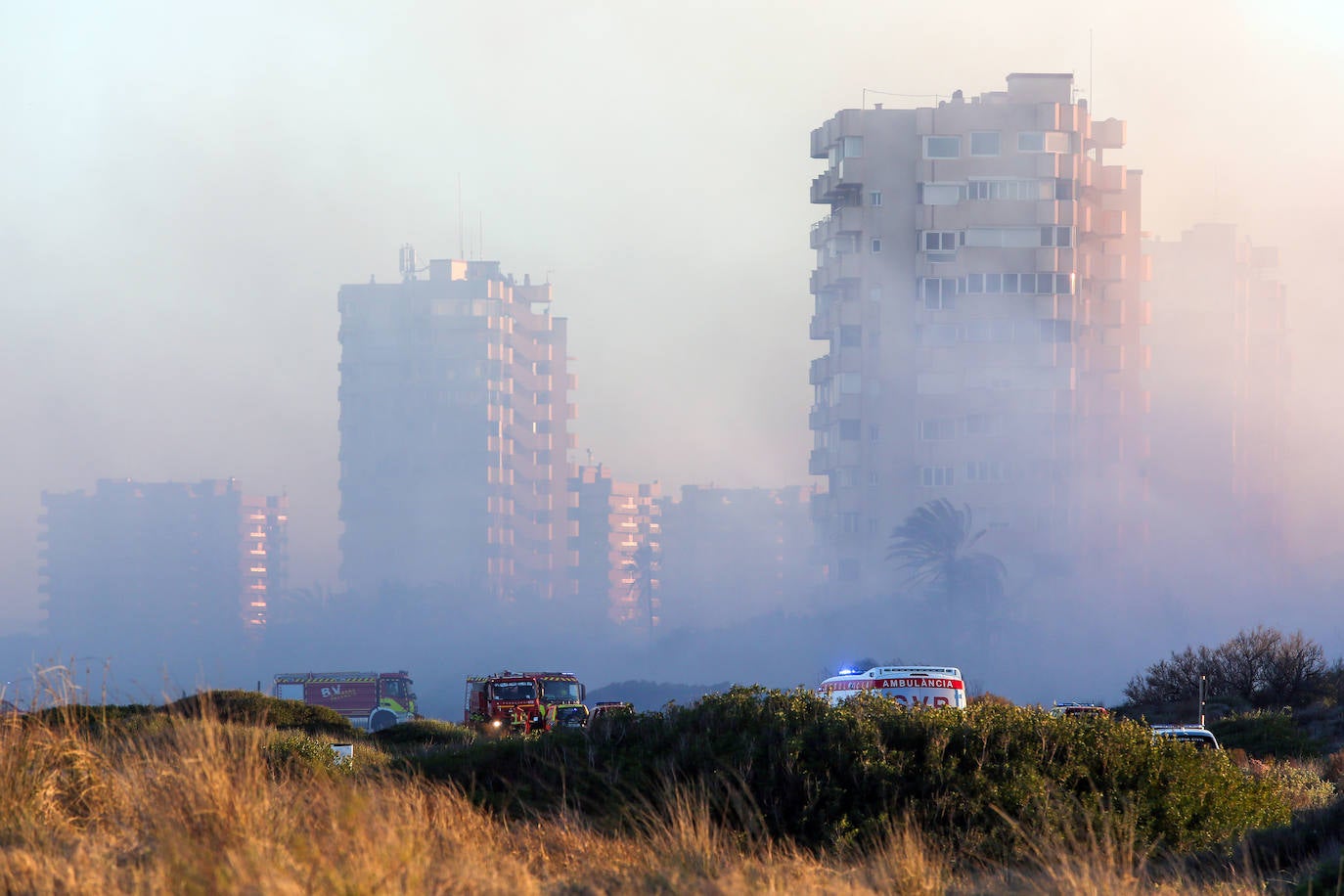 Fotos del incendio de El Saler que ha obligado a desalojar seis edificios