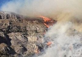 El humo y las llamas del incendio forestal declarado en Sella.