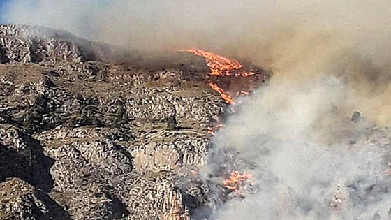 El viento dificulta las tareas de extinción de dos incendios forestales en El Ràfol d'Almúnia y Sella