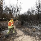 La Guardia Civil halló en octubre 141 mecheros en casa del presunto incendiario de El Saler