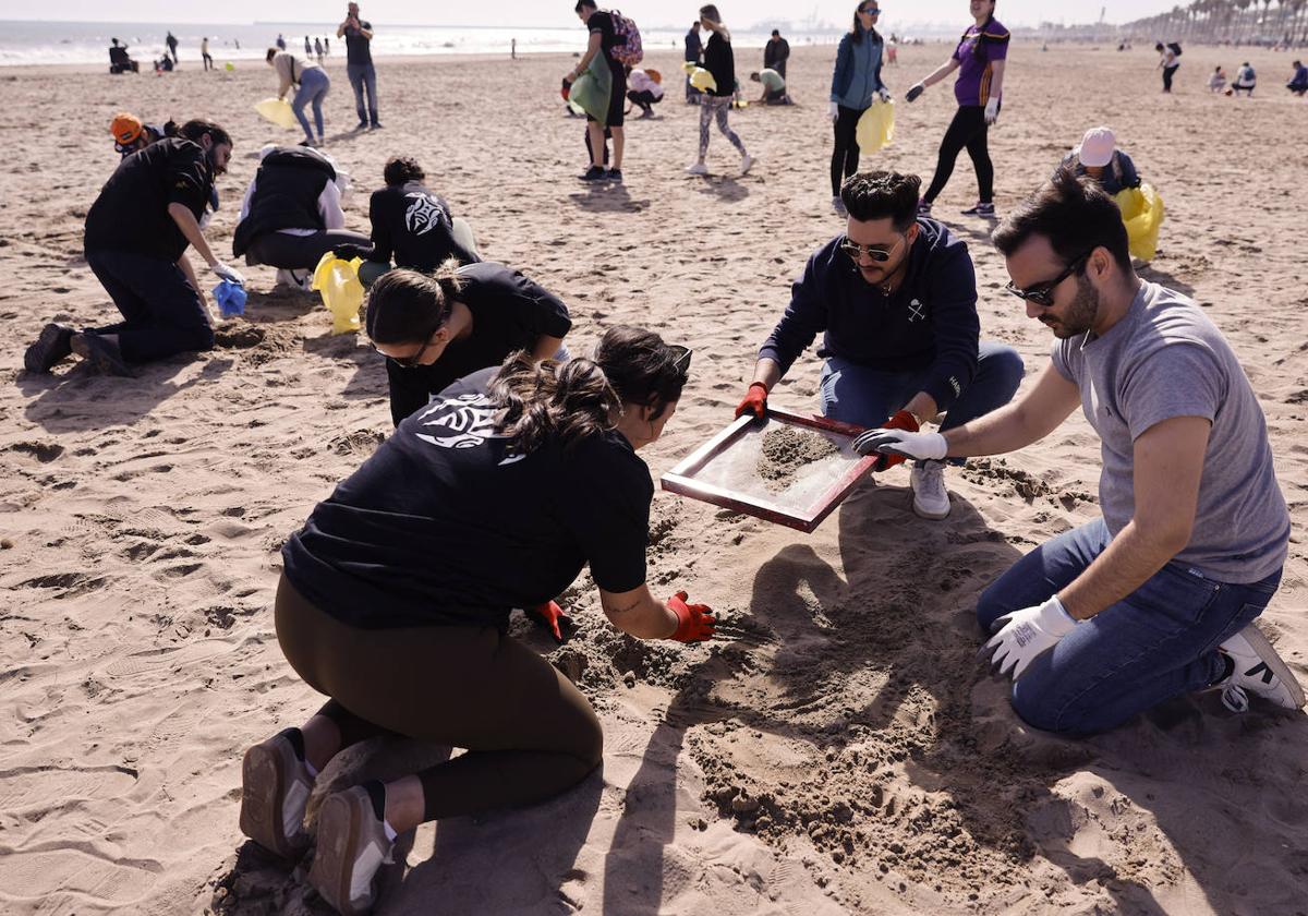 Voluntarios retirando basura de esta playa de Alboraya.