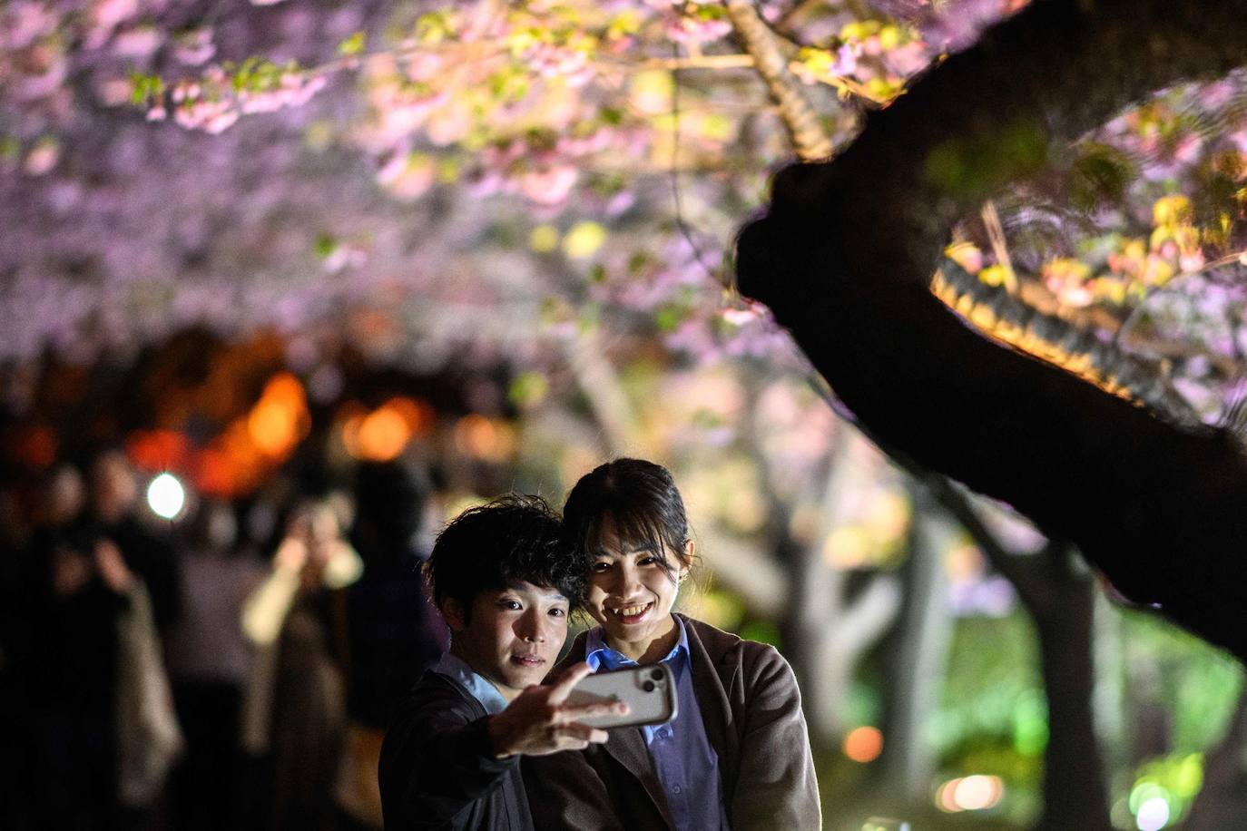 Las primeras flores de los cerezos de Japón