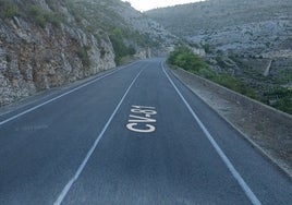 Carretera por la que se avista la oveja.