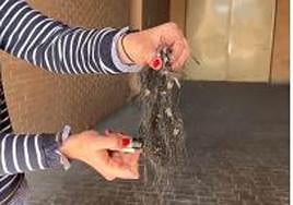 Vídeo | Así arde el material de la fachada del edificio de Campanar