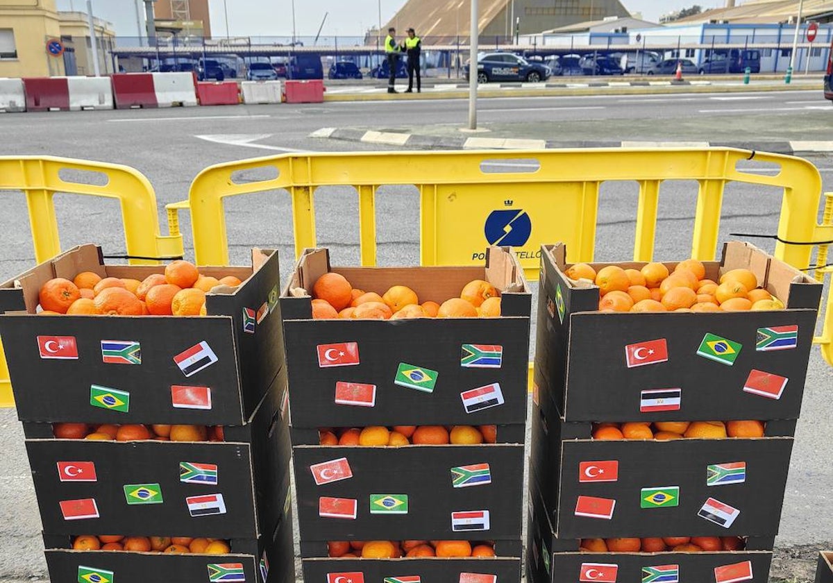 Cajas con mandarinas que fueron lanzadas por las asociaciones para protestar contra la competencia desleal.