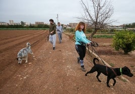 Andrea Estela, con uno de los perros que saca la joven a pasear por la huerta de Campanar.