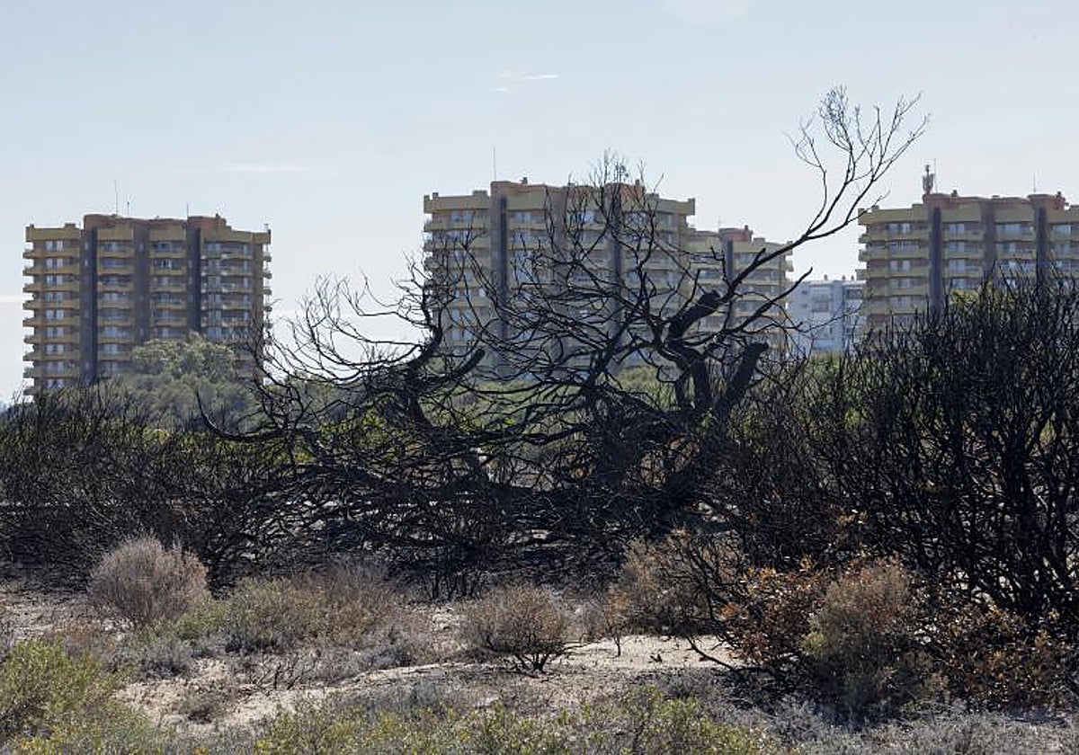 Las torres de apartamentos Aparwaks, junto a la zona quemada.