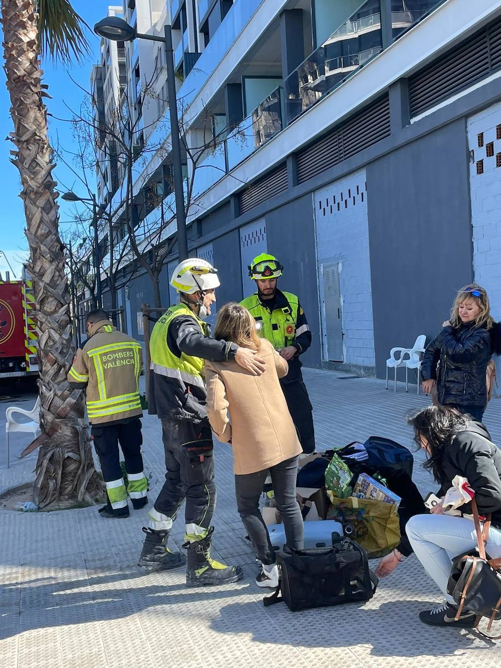 El gato &#039;Coco&#039;, con vida tras el incendio de Campanar