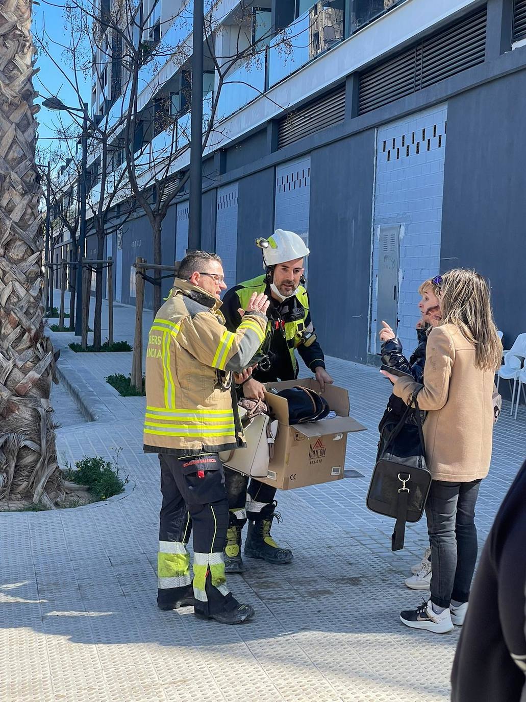 El gato &#039;Coco&#039;, con vida tras el incendio de Campanar