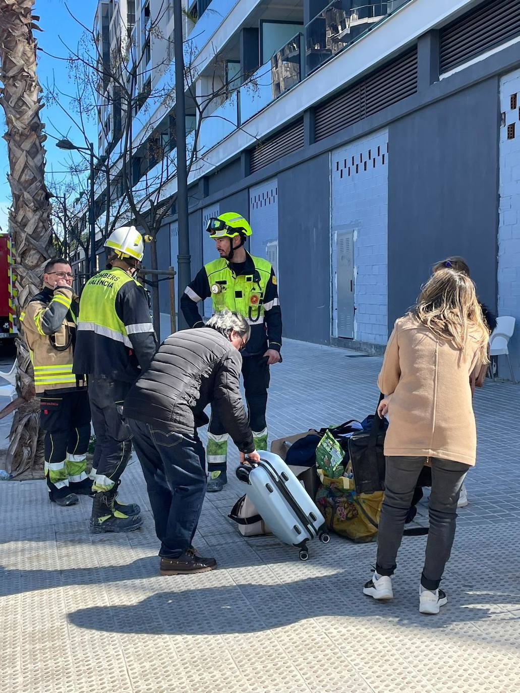 El gato &#039;Coco&#039;, con vida tras el incendio de Campanar