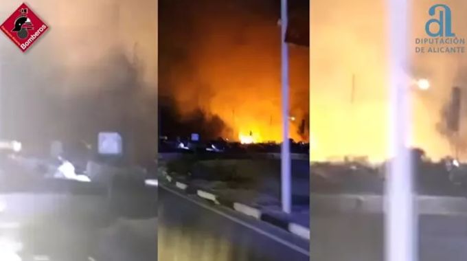 Incendio en palmeral de Torrevieja.