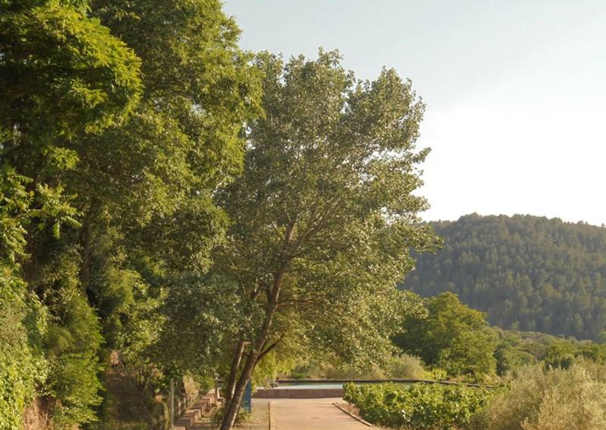 Imagen secundaria 1 - Algunas instantáneas del camino por El Parc Natural de l'Alt Palància.