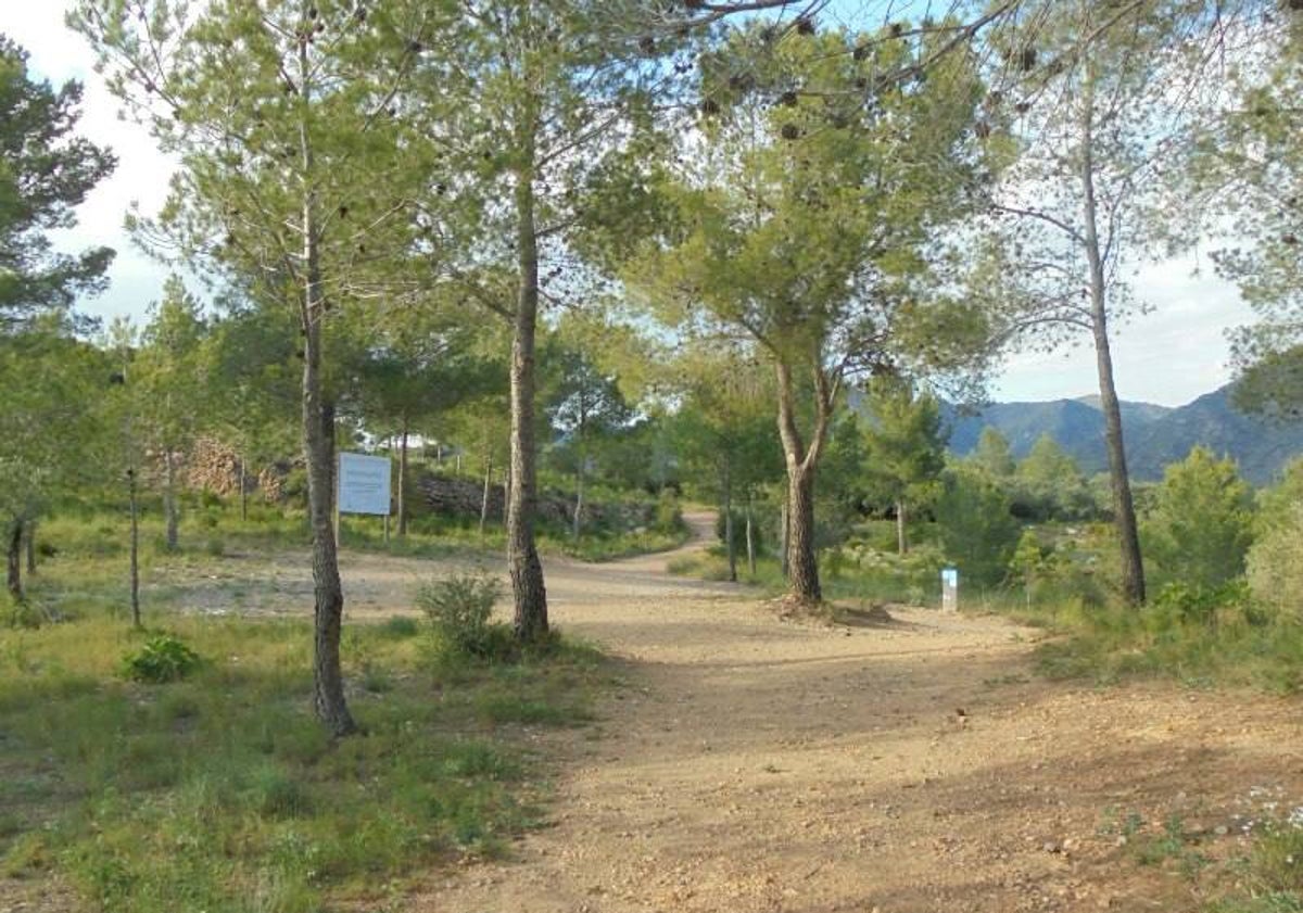 Imagen principal - Algunas instantáneas del camino por El Parc Natural de l'Alt Palància.