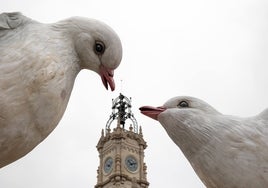 Palomas en la falla municipal en la plaza del Ayuntamiento.