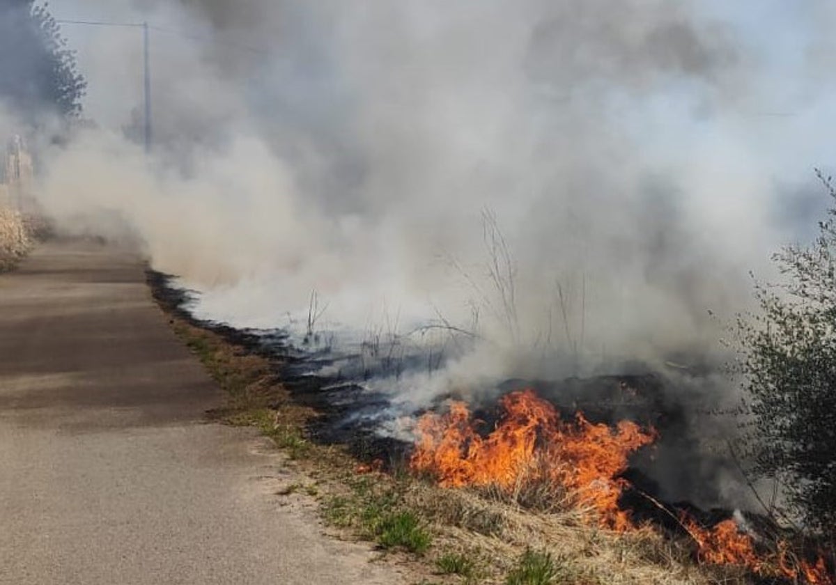 Fuego en un camino.